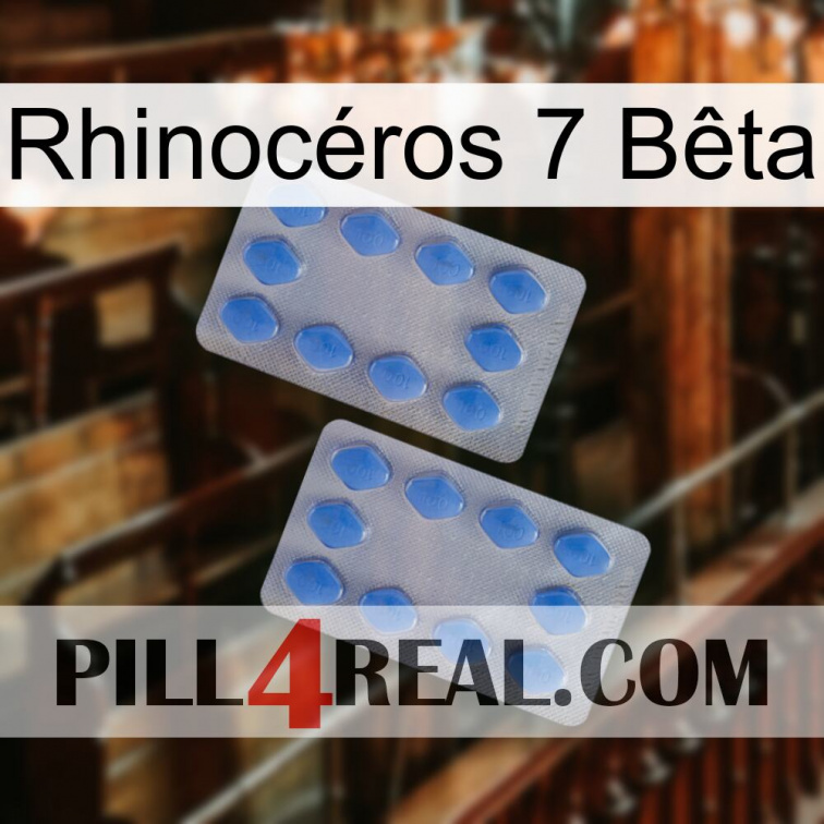 Rhinocéros 7 Bêta 20